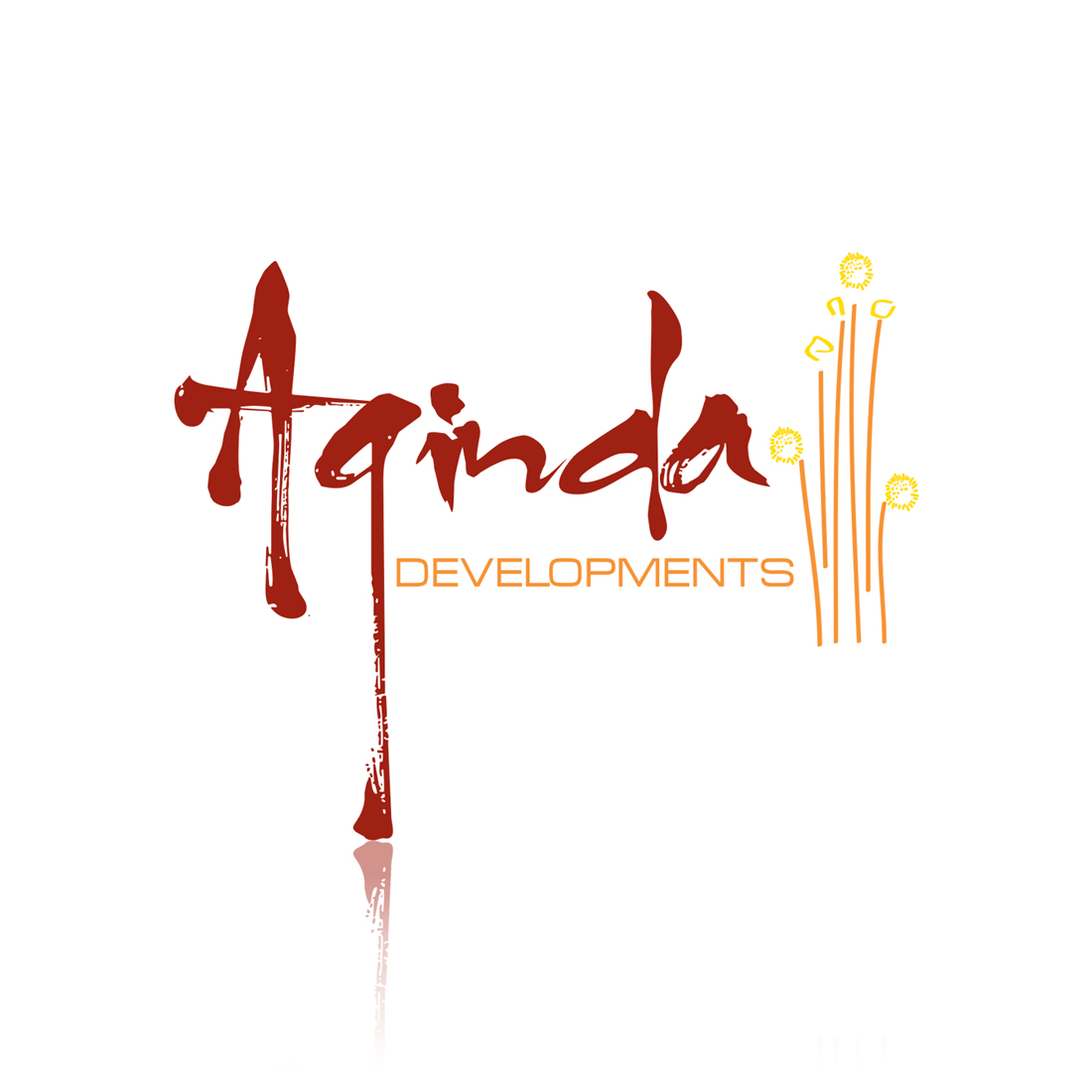 Aginda Developments logo, marketing and advertising collateral and website designed by Phunkemedia